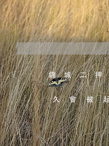 錦城二押逾期多久會被起訴(錦城二押逾期多久會被起訴)