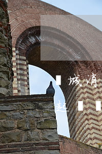 錦城消費(fèi)金融逾期會(huì)起訴嗎(消費(fèi)金融被起訴)