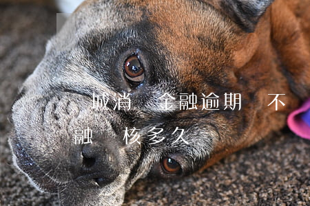 錦城消費金融逾期會不會被起訴(錦程消費金融審核多久)