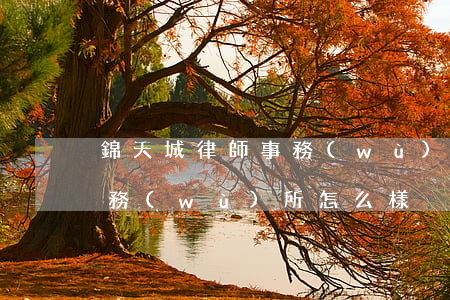 錦天城律師事務(wù)所排名(天錦律師事務(wù)所怎么樣)