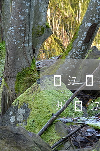 錦江區(qū)律師事務(wù)所地址(貴州錦江河律師事務(wù)所)