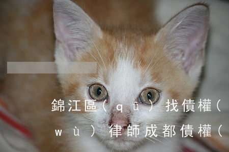 錦江區(qū)找債權(quán)債務(wù)律師(成都債權(quán)律師)