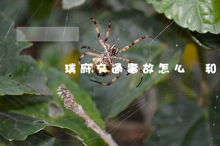 錦瑞府交通事故怎么樣(和瑞錦府怎么樣)