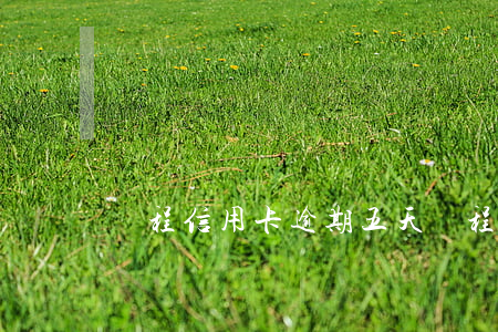 錦程信用卡逾期五天(錦程信用卡逾期五天了)