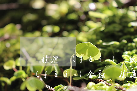 錦程消費(fèi)貸款逾期一天(錦程消費(fèi)金融審核通過了)