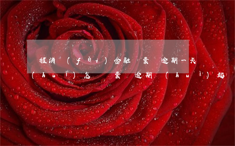 錦程消費(fèi)金融錦囊貸逾期一天會(huì)怎樣（錦囊貸逾期會(huì)起訴嗎）