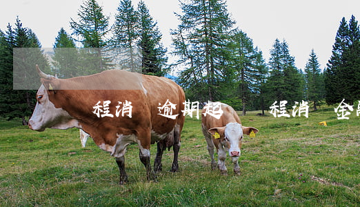 錦程消費逾期起訴 錦程消費金融在哪投訴