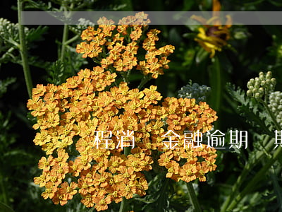 錦程消費金融逾期幾期會起訴