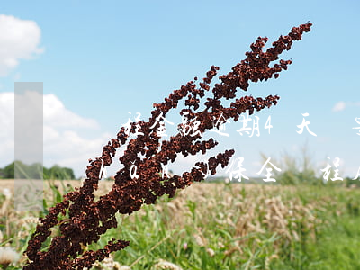 錦程金融逾期4天誰要財(cái)產(chǎn)保全(錦程房抵逾期)