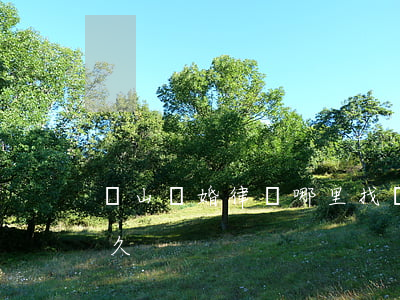 錫山離婚律師哪里找(錫山民政局辦離婚要多久)