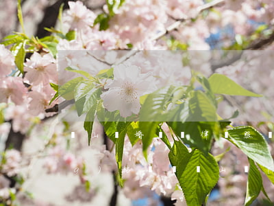 錫山離婚糾紛律師服務(wù)網(wǎng)站(無錫錫山區(qū)律師事務(wù)所免費(fèi)咨詢)