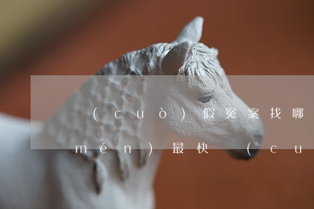 錯(cuò)假冤案找哪個(gè)部門(mén)最快(錯(cuò)案冤案要找什么部門(mén))