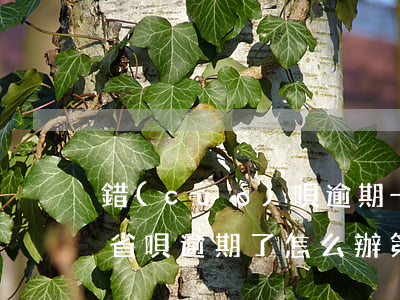 錯(cuò)唄逾期一天如何補(bǔ)救(省唄逾期了怎么辦?第一時(shí)間要做的是這件事!)