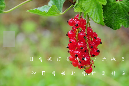 鎖骨被打骨折私了大概多少錢(qián)的(鎖骨被打骨折算什么傷)