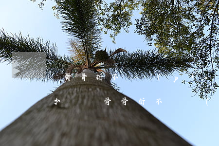 鎖骨骨折不夠評(píng)殘一般私了多少錢(鎖骨骨折不夠評(píng)殘一般私了多少錢)