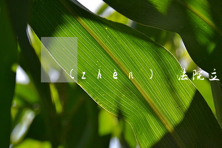 鎮(zhèn)寧法院立案可以用支付寶嗎