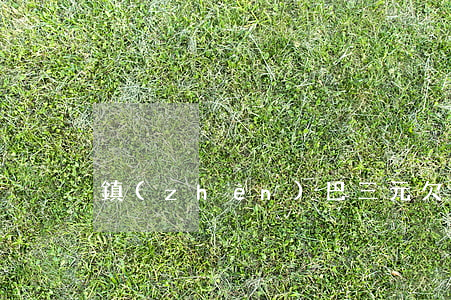 鎮(zhèn)巴三元欠信用卡名單