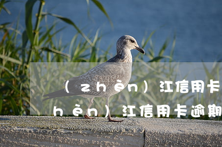鎮(zhèn)江信用卡逾期判刑-鎮(zhèn)江信用卡逾期判刑