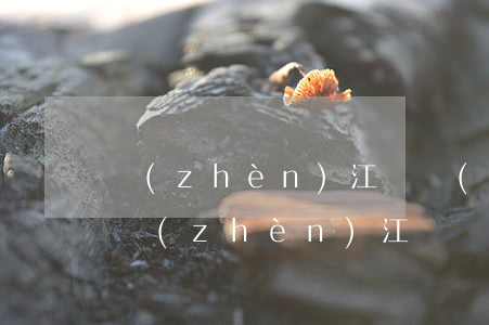 鎮(zhèn)江債務(wù)律師哪家好(鎮(zhèn)江債務(wù)糾紛律師)