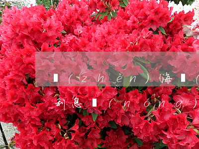 鎮(zhèn)海農(nóng)商信用卡利息(農(nóng)商行信用卡收年費(fèi)嗎)