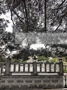 鎮(zhèn)遠古鎮(zhèn)在哪里(鎮(zhèn)遠古鎮(zhèn)在哪里個省哪個市)