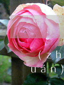 鎮(zhèn)雄撫養(yǎng)權(quán)律師費(fèi)用標(biāo)準(zhǔn)(鎮(zhèn)雄律師事務(wù)所收費(fèi))