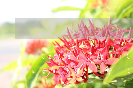 鎮(zhèn)雄撫養(yǎng)權(quán)律師選哪個(gè)(鎮(zhèn)雄律師事務(wù)所電話號(hào)碼)
