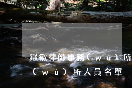 鏹徽律師事務(wù)所(合肥徽商律師事務(wù)所人員名單)