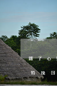鐵了心要離婚的女人還能挽回嗎(女人鐵心離婚挽回概率)