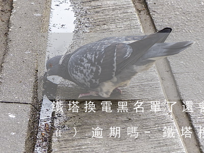 鐵塔換電黑名單了還會(huì)繼續(xù)逾期嗎-鐵塔換電黑名單了還會(huì)繼續(xù)逾期嗎安全嗎
