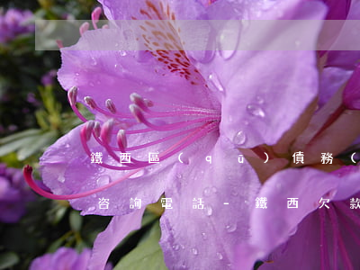 鐵西區(qū)債務(wù)違約糾紛律師咨詢電話-鐵西欠款律師