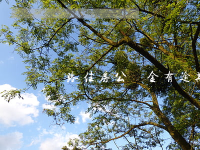 鐵路住房公積金有逾期可以辦嗎