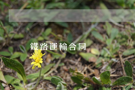 鐵路運輸合同