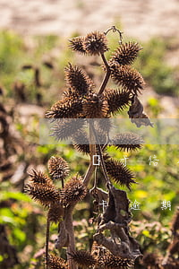 鑒于信用卡逾期(因疾病導(dǎo)致信用卡逾期)