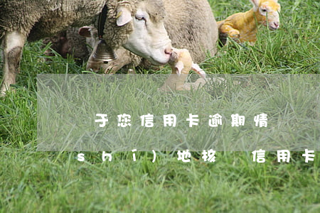 鑒于您信用卡逾期情況嚴(yán)重 實(shí)地核訪（信用卡逾期銀行調(diào)查組讓簽字）