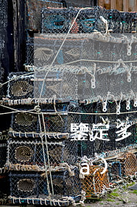 鑒定多少錢(親子鑒定報(bào)價(jià))