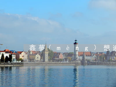 鑫夢(mèng)想逾期一天