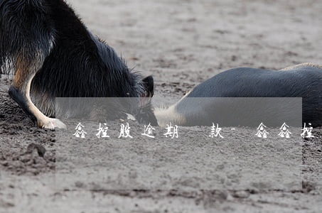 鑫控股逾期貸款-鑫鑫控股