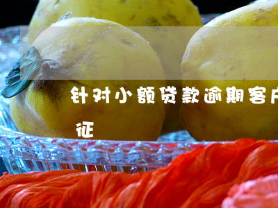 针对小额贷款逾期客户(分析贷款逾期客户特征)