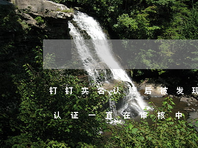 钉钉实名认证后被发现支付宝逾期(钉钉实名认证一直在审核中)