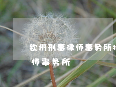 钦州刑事律师事务所排名(广西钦州最好的律师事务所)