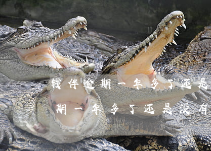 钱伴逾期一年多了还是没有上征信-钱伴逾期一年多了还是没有上征信怎么办