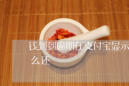 钱到到逾期在支付宝显示(支付宝逾期的钱怎么还)