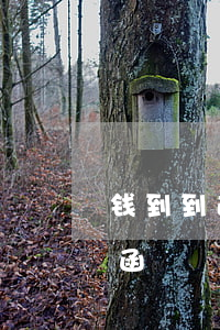 钱到到逾期收到律师函(钱到到逾期收到律师函)