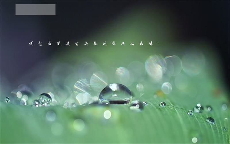 钱包易贷提前还款还能接出来吗-