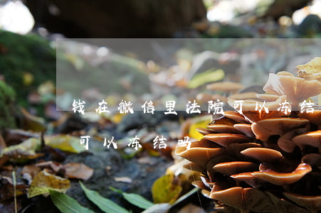 钱在微信里法院可以冻结吗(钱在微信里法院可以冻结吗)