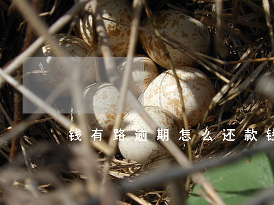 钱有路逾期怎么还款(钱有路借款可靠吗)