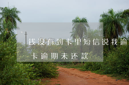 钱没有到卡里短信说我逾期(收到短信说银行卡逾期未还款)