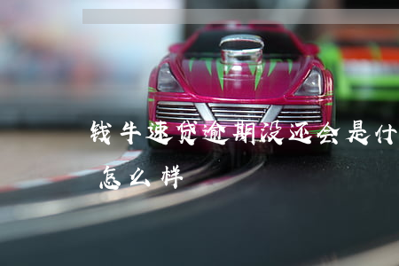 钱牛速贷逾期没还会是什么后果-钱牛速贷怎么样