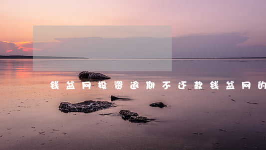 钱盆网投资逾期不还款(钱盆网的最新消息)